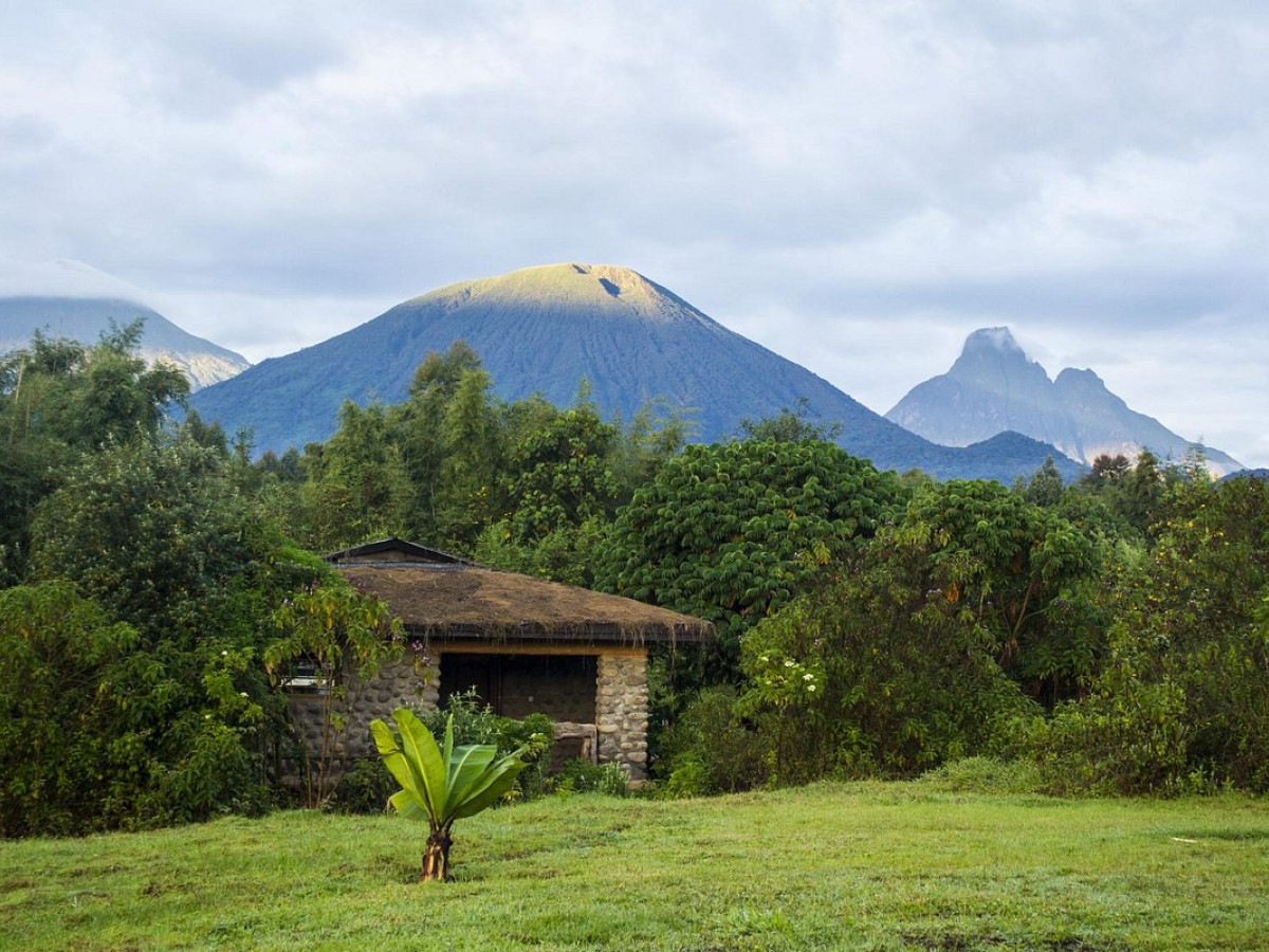 Mountain Gorilla View Lodge Rwanda - Undiscovered.nl