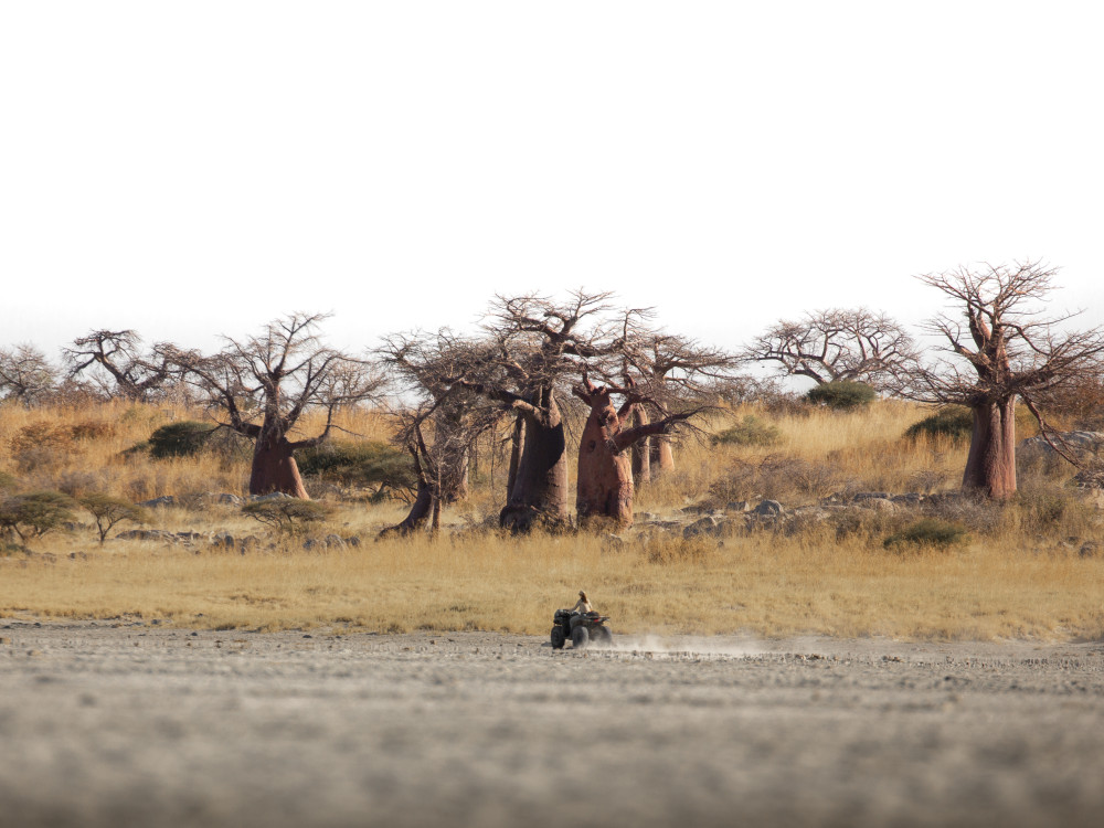 Kubu Island excursie, Botswana - Undiscovered.nl