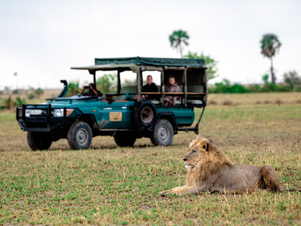 Makgadikgadi Game Drive, Botswana - Undiscovered.nl