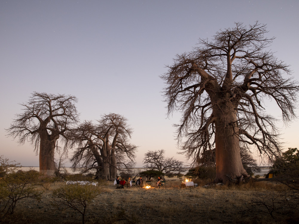 Kubu Island excursie, Botswana - Undiscovered.nl