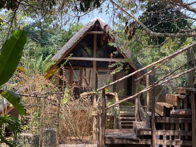 Mabamba Lodge Mabamba swamp Oeganda - Undiscovered.nl