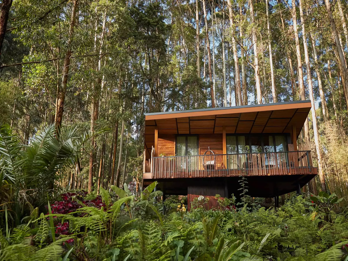 One&Only Gorilla's Nest, Rwanda - Undiscovered.nl