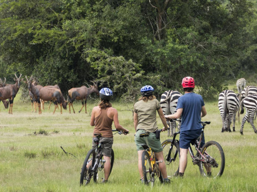 Fietstocht door Lake Mburo National Park, Oeganda - Undiscovered.nl