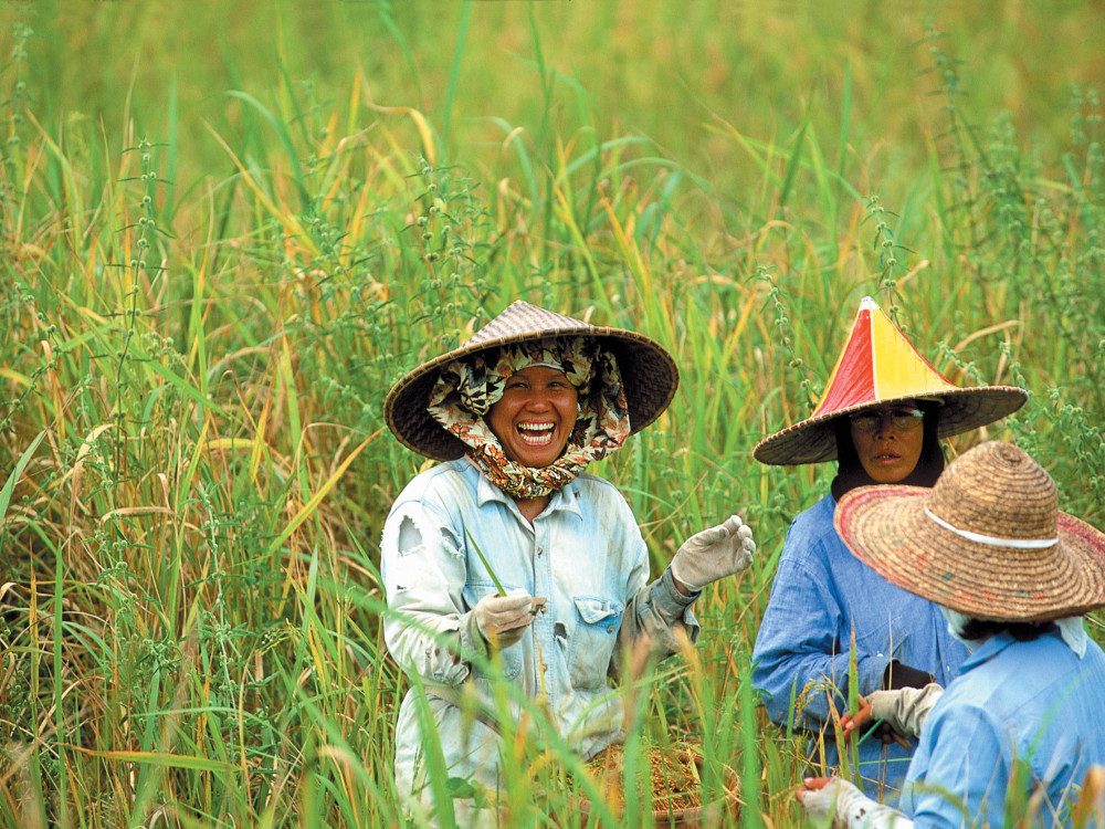 Locals in Borneo - Undiscovered.nl