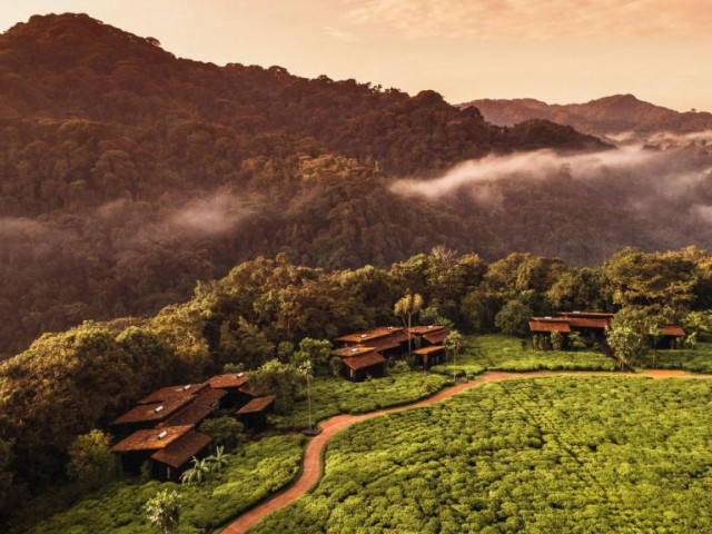One & Only Nyungwe Rwanda - Undiscovered.nl