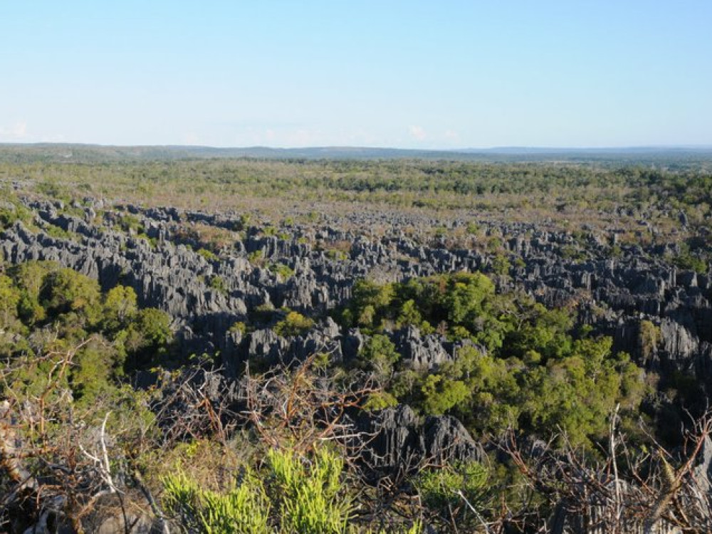 Tsingy de Bemaraha Madagascar - Undiscovered.nl