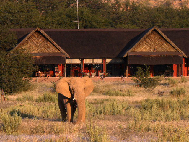 Hobatere Lodge Namibië - Undiscovered.nl