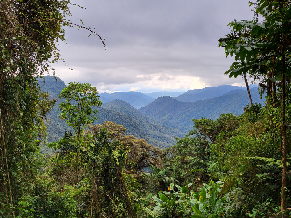 Bella Vista, Ecuador - Undiscovered.nl