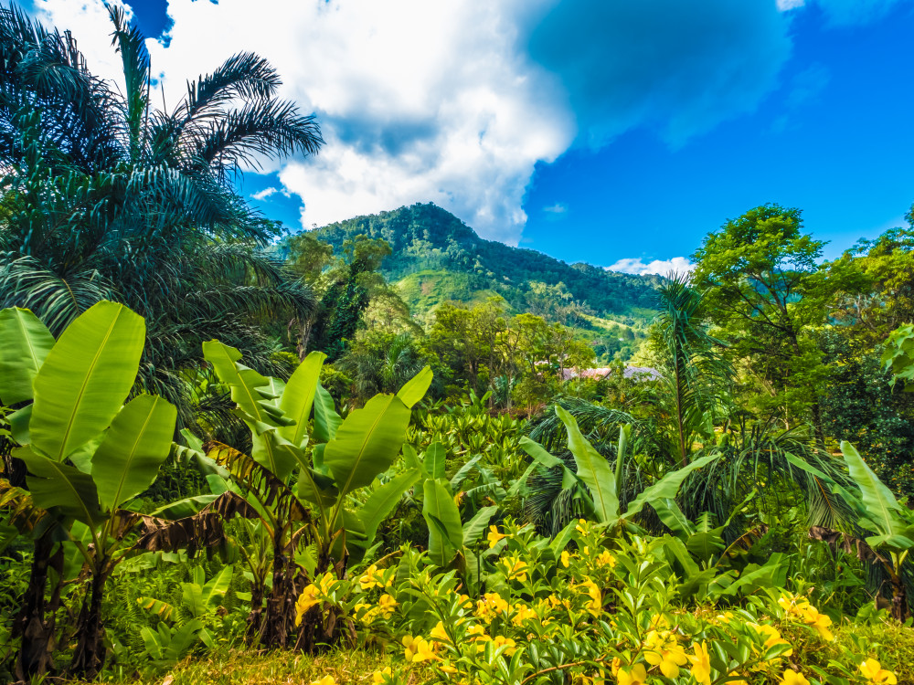Ranomafana National Park, Madagascar - Undiscovered.nl