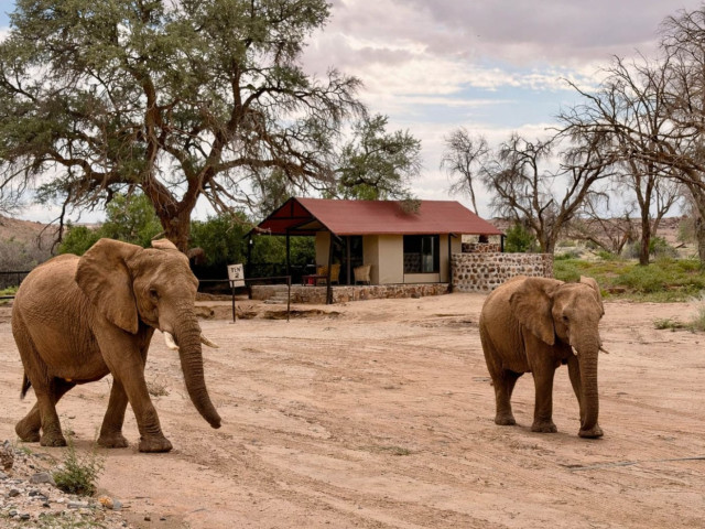 Brandberg Whitelady Lodge Namibië - Undiscovered.nl