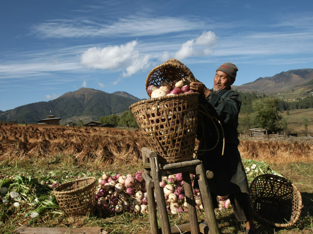 Lokale bevolking Bhutan, Gangtey - Undiscovered.nl