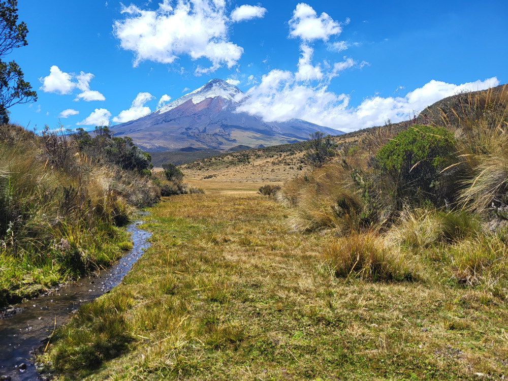 Stratovulkaan in Cotopaxi, Ecuador - Undiscovered.nl