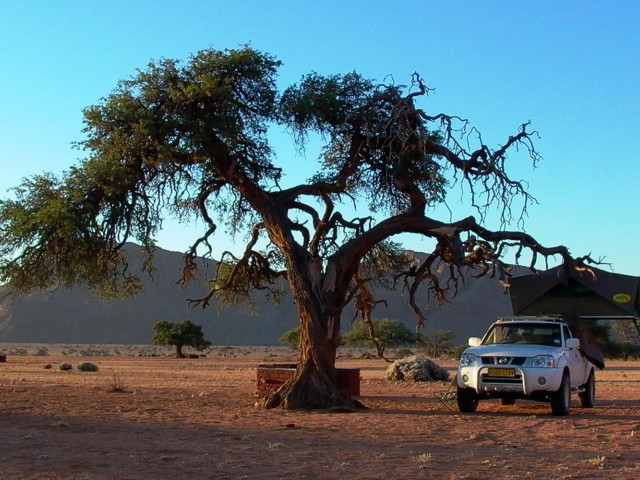 Little Hunters Restcamp Namibië - Undiscovered.nl