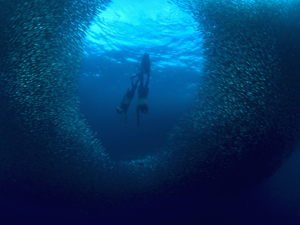 Duiken in Cebu Filipijnen - Undiscovered.nl