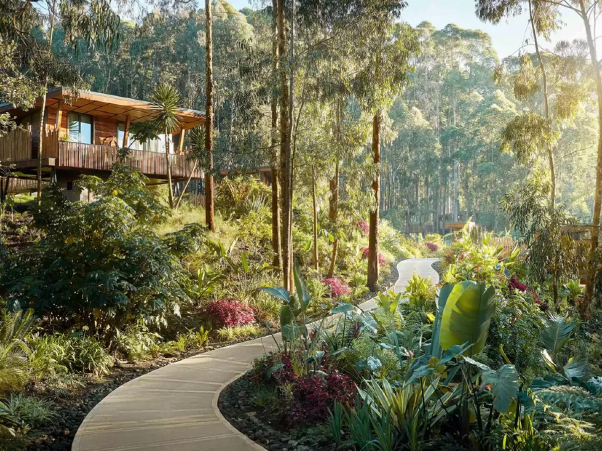 One&Only Gorilla's Nest, Rwanda - Undiscovered.nl