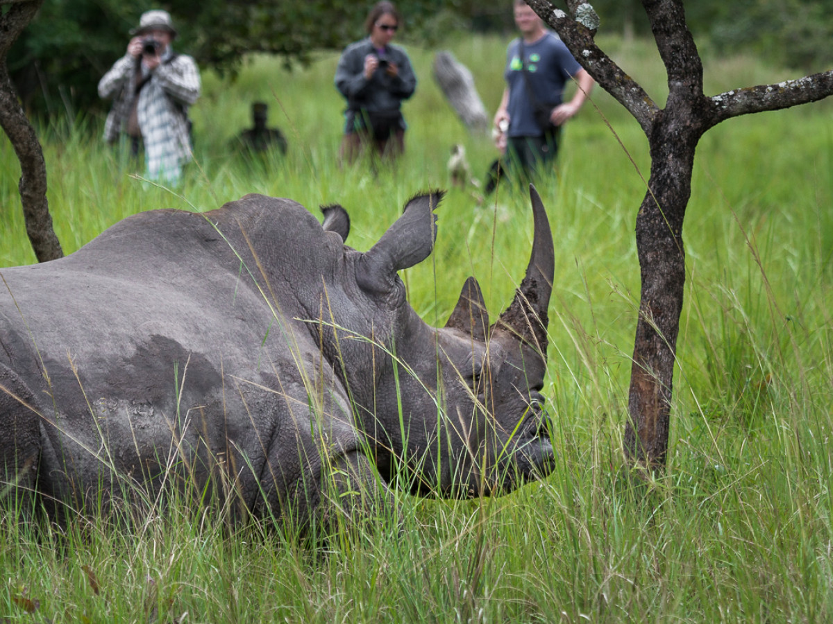 Ziwa Rhino Sanctuary Oeganda - Undiscovered.nl