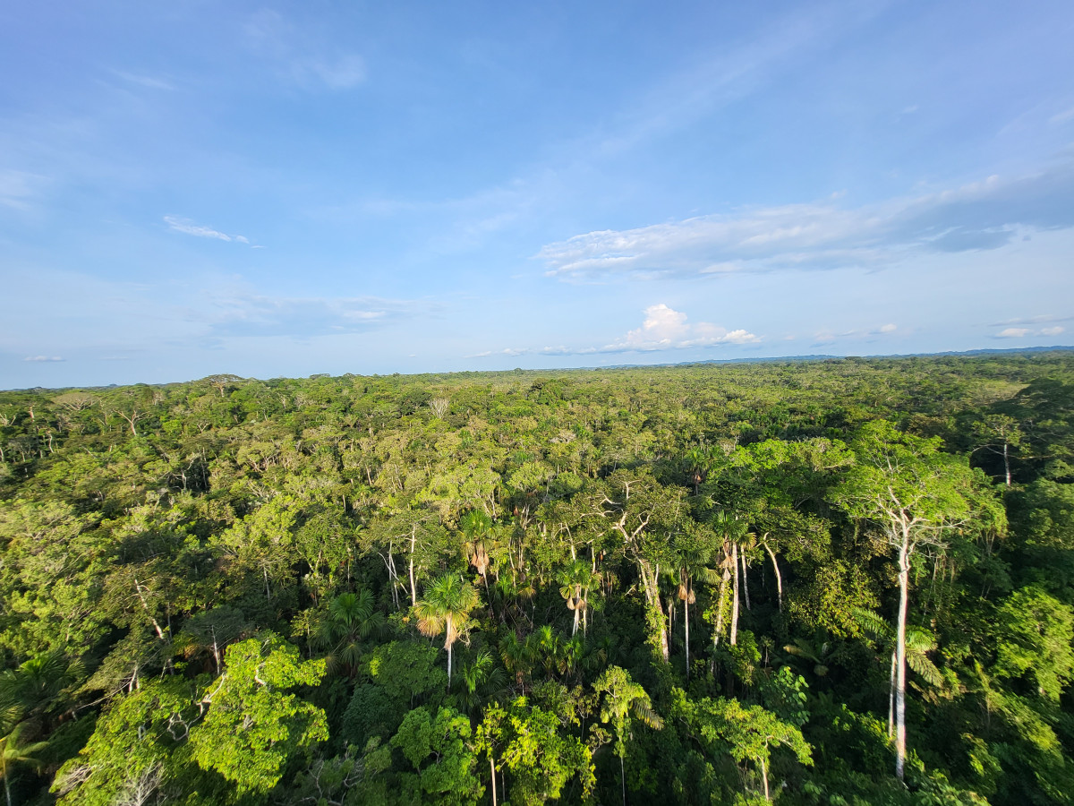 Amazone, Ecuador - Undiscovered.nl