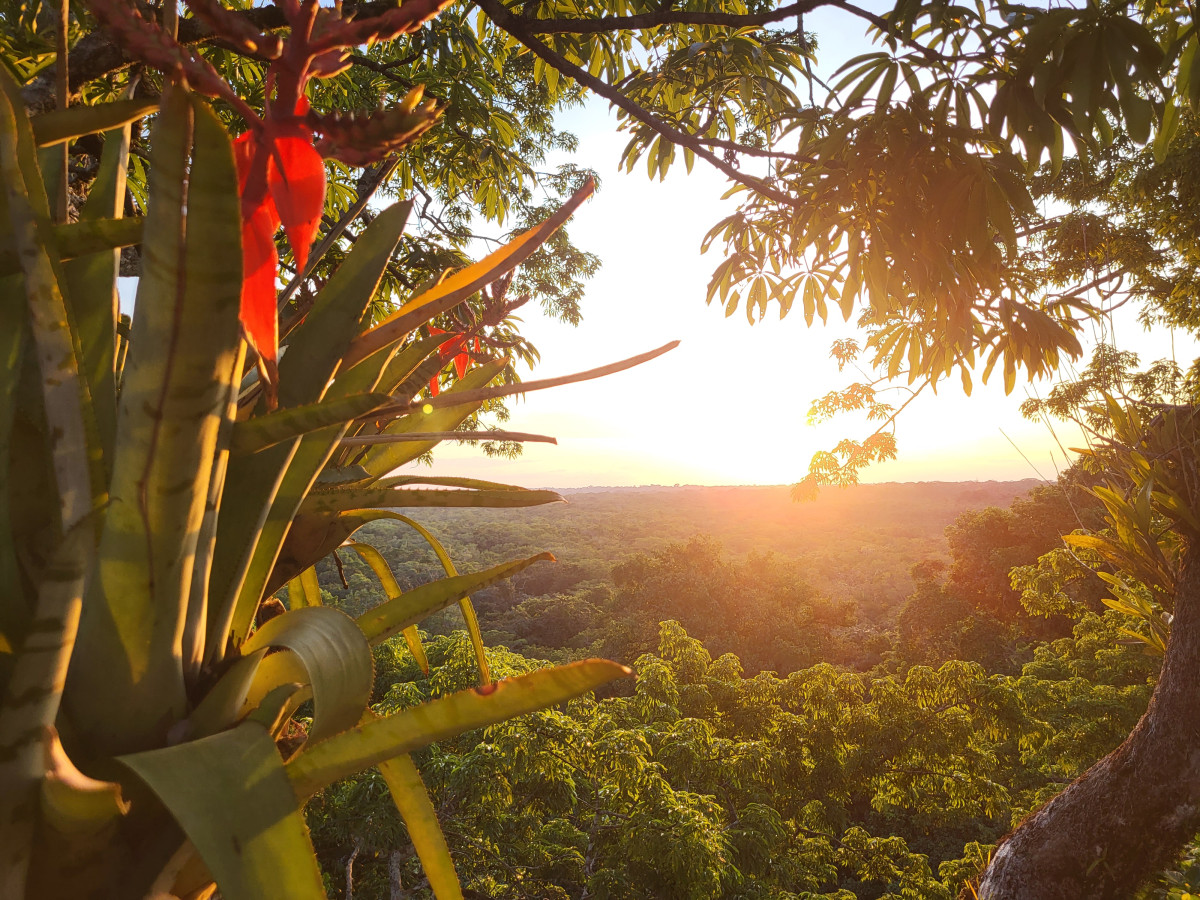 Uitzicht over de Amazone, Ecuador - Undiscovered.nl