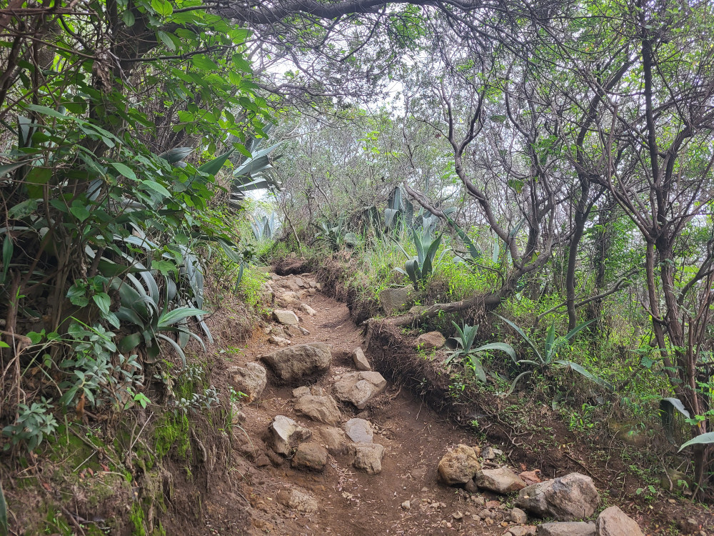 Cerro Verde National Park, El Salvador - Undiscovered.nl