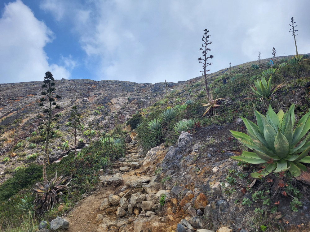 Cerro Verde National Park, El Salvador - Undiscovered.nl