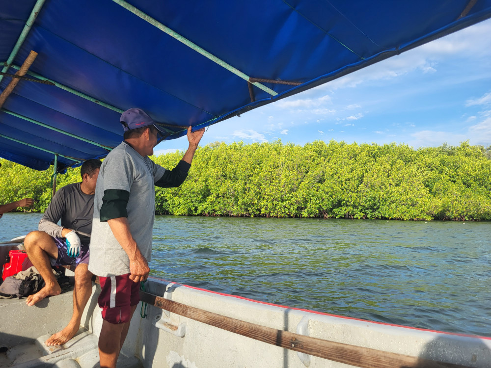 Zeeschildpadden spotten in Jiquilisco Bay, El Salvador - Undiscovered.nl