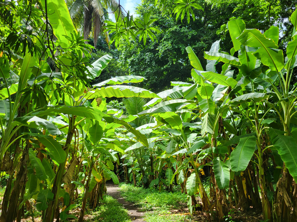 Jiquilisco Bay, El Salvador - Undiscovered.nl