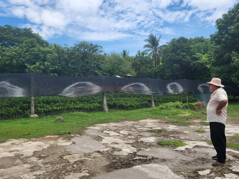Cacao boerderij in Jiquilisco Bay, El Salvador - Undiscovered.nl