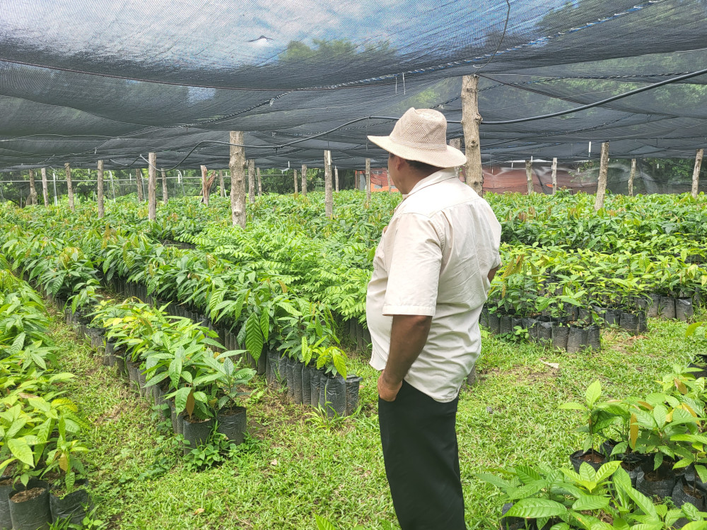 Cacao boerderij - Undiscovered.nl