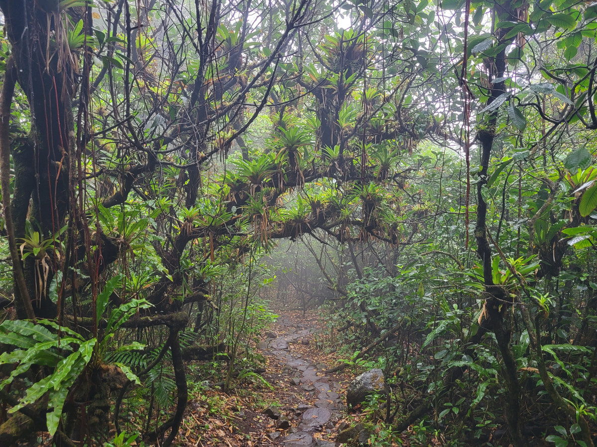 Mombacho in Nicaragua - Undiscovered.nl