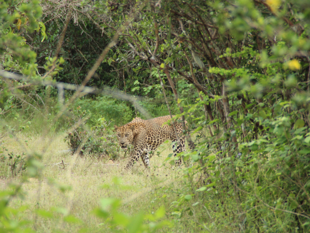 Persoonlijke pagina Anouk - Undiscovered.nl