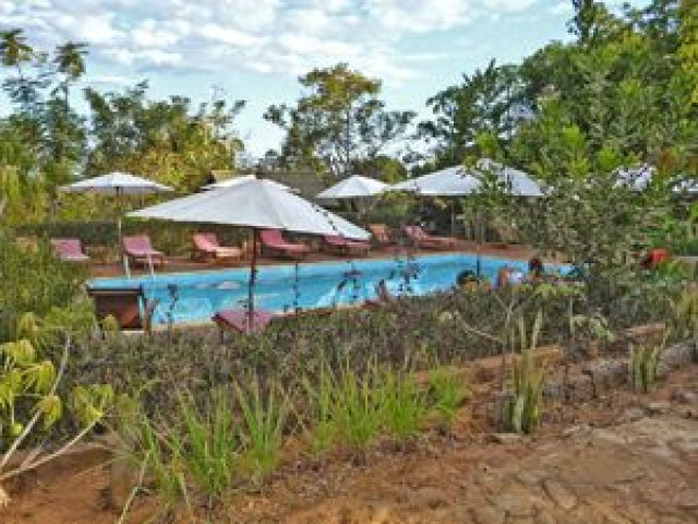 Orchidee de Bemaraha Tsingy Madagascar - Undiscovered.nl