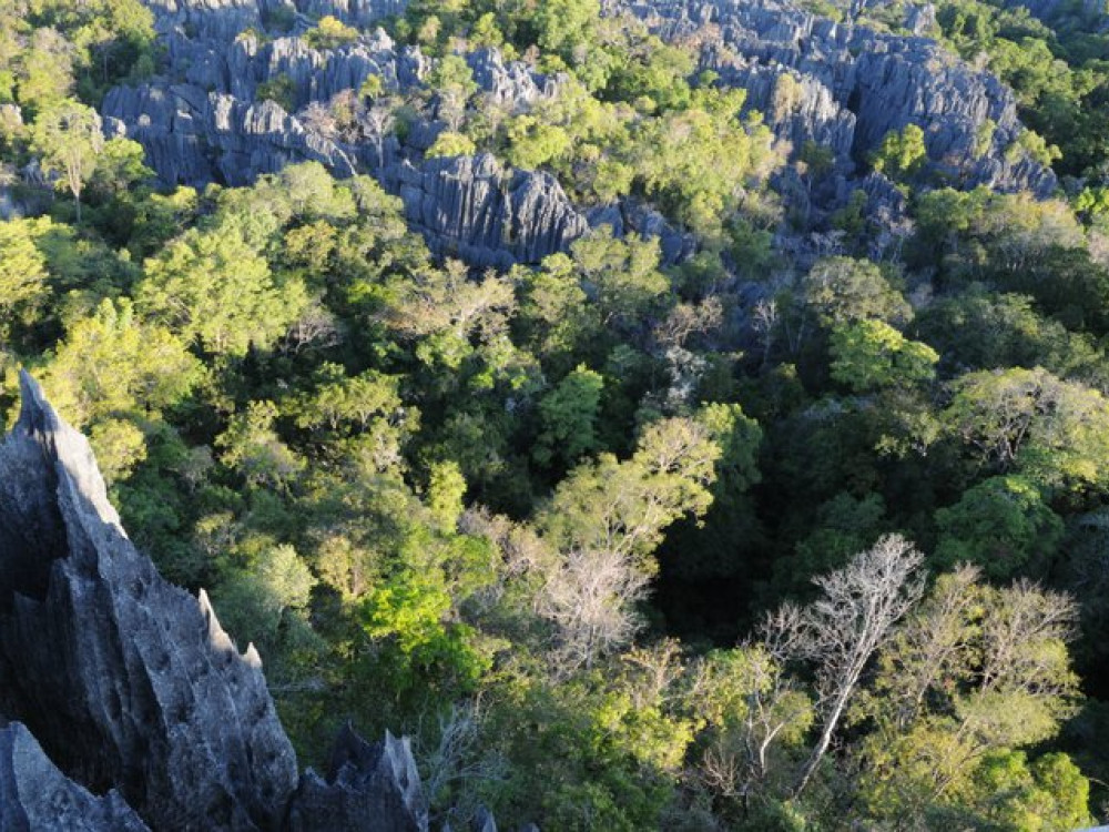 Tsingy de Bemaraha van boven, Madagascar - Undiscovered.nl