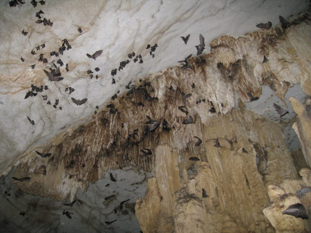 Grotten in Ankarana National Park, Madagascar - Undiscovered.nl