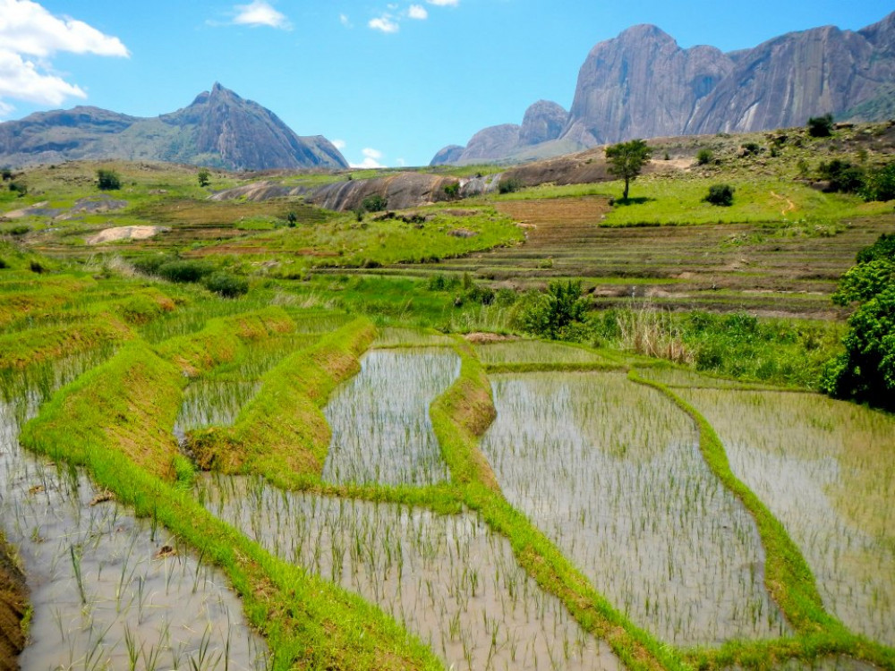 Landschap in Madagascar - Undiscovered.nl