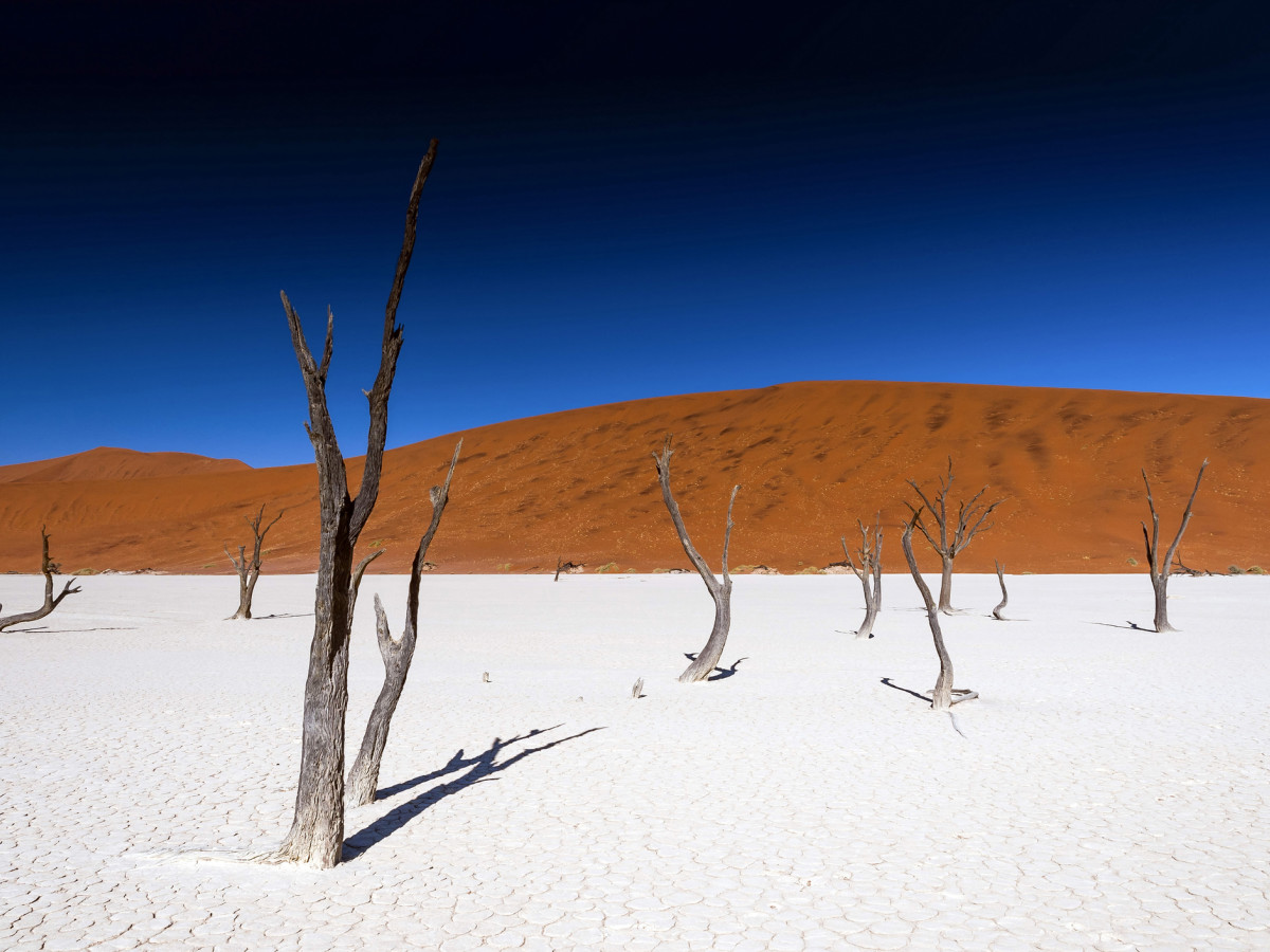 Deadvlei, Namibië - Undiscovered.nl