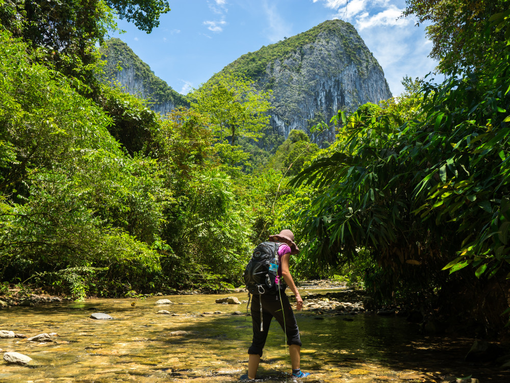 Mulu National Park, Borneo - Undiscovered.nl