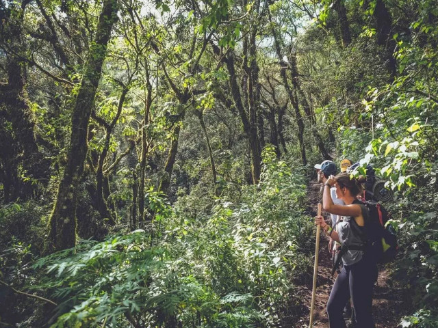 Guatemala Acatenango hike - Undiscovered.nl