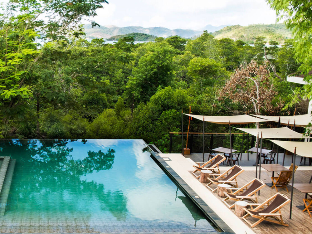 Coron Funny Lion - Undiscovered.nl