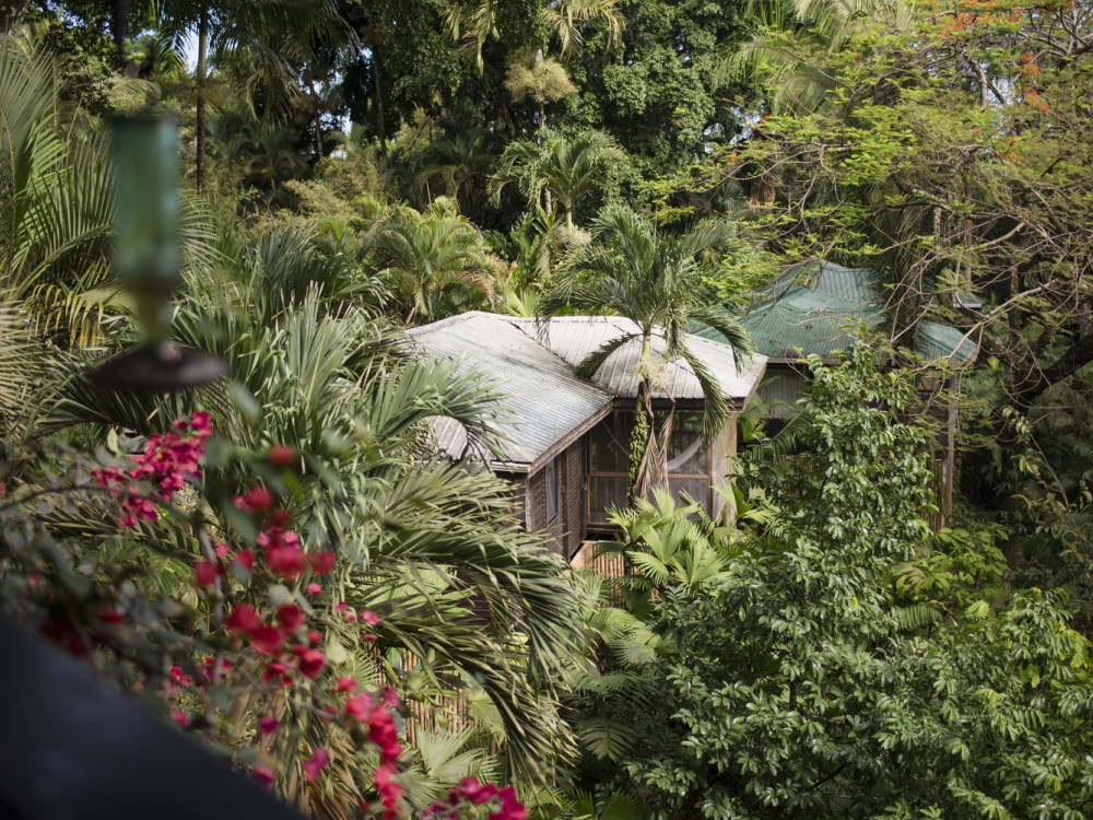 Copal Tree Lodge, Belize - Undiscovered.nl