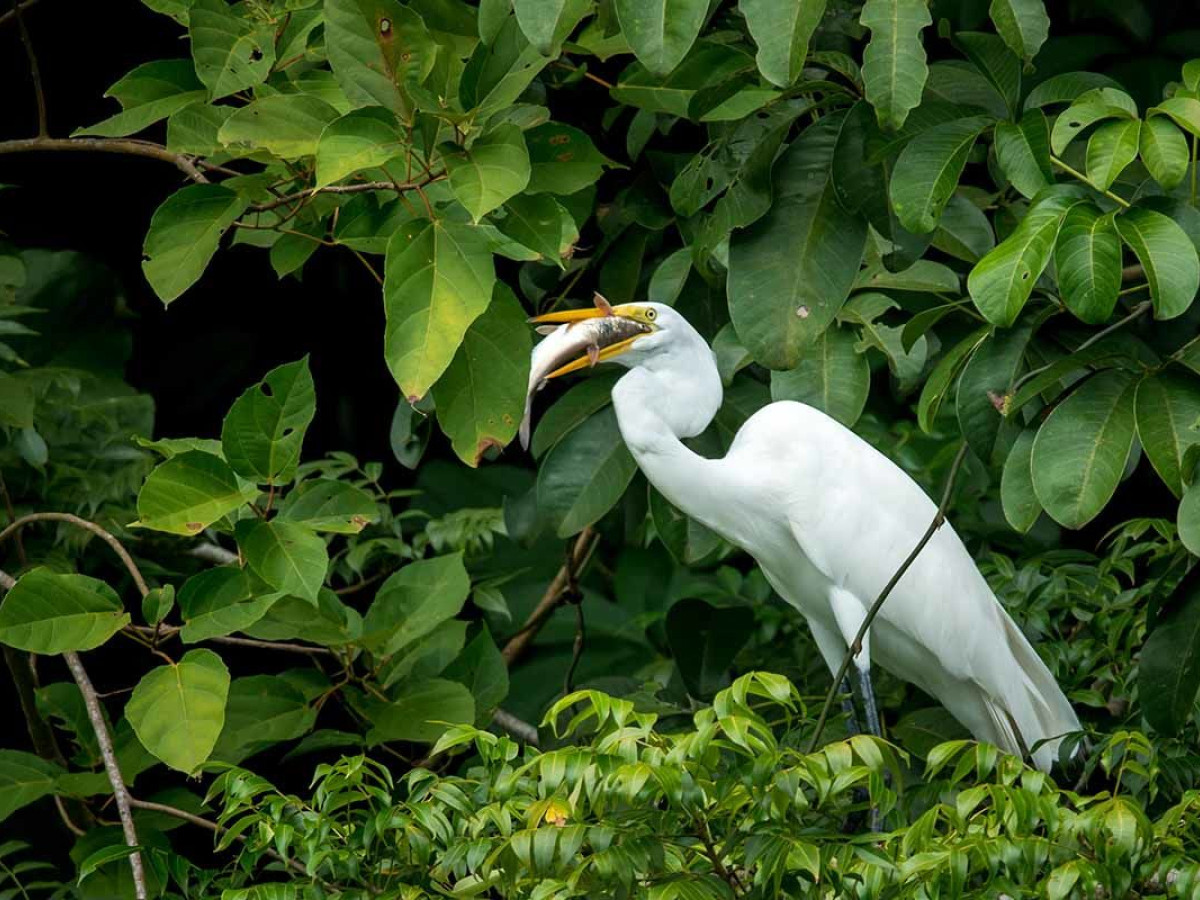Rio Dulce, Guatemala - Undiscovered.nl