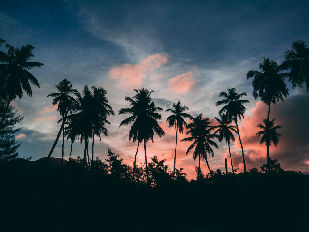 Eiland Praslin, Seychellen - Undiscovered.nl