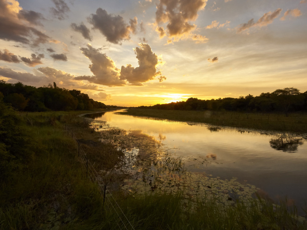 Crocodile Camp Safari & Spa, Botswana - Undiscovered.nl