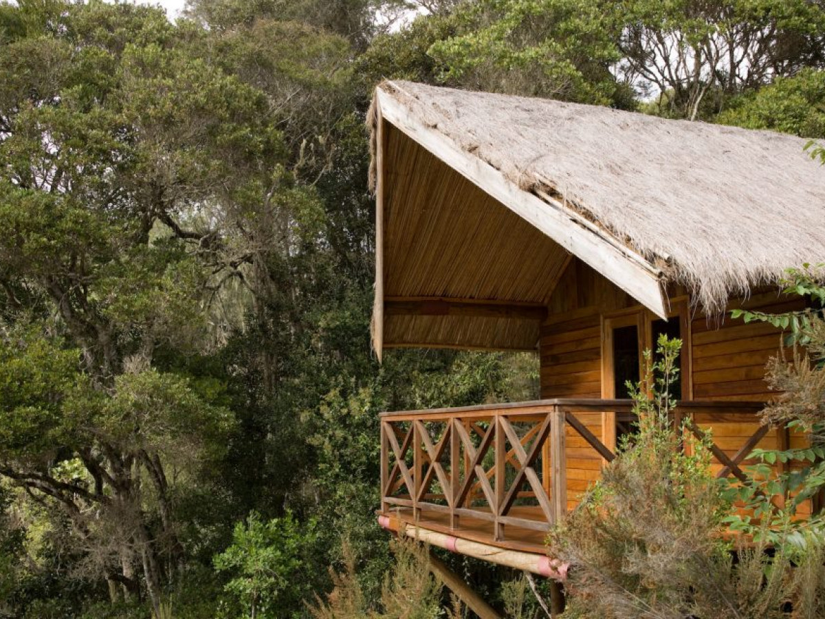 Saha Forest Camp, Madagascar - Undiscovered.nl