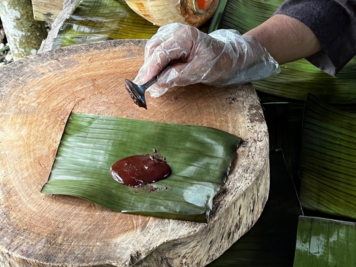 Chocolade maken in Bohol, Filipijnen - Undiscovered.nl