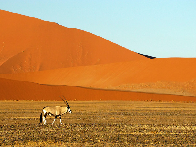 Sossusvlei, Namibië - Undiscovered.nl
