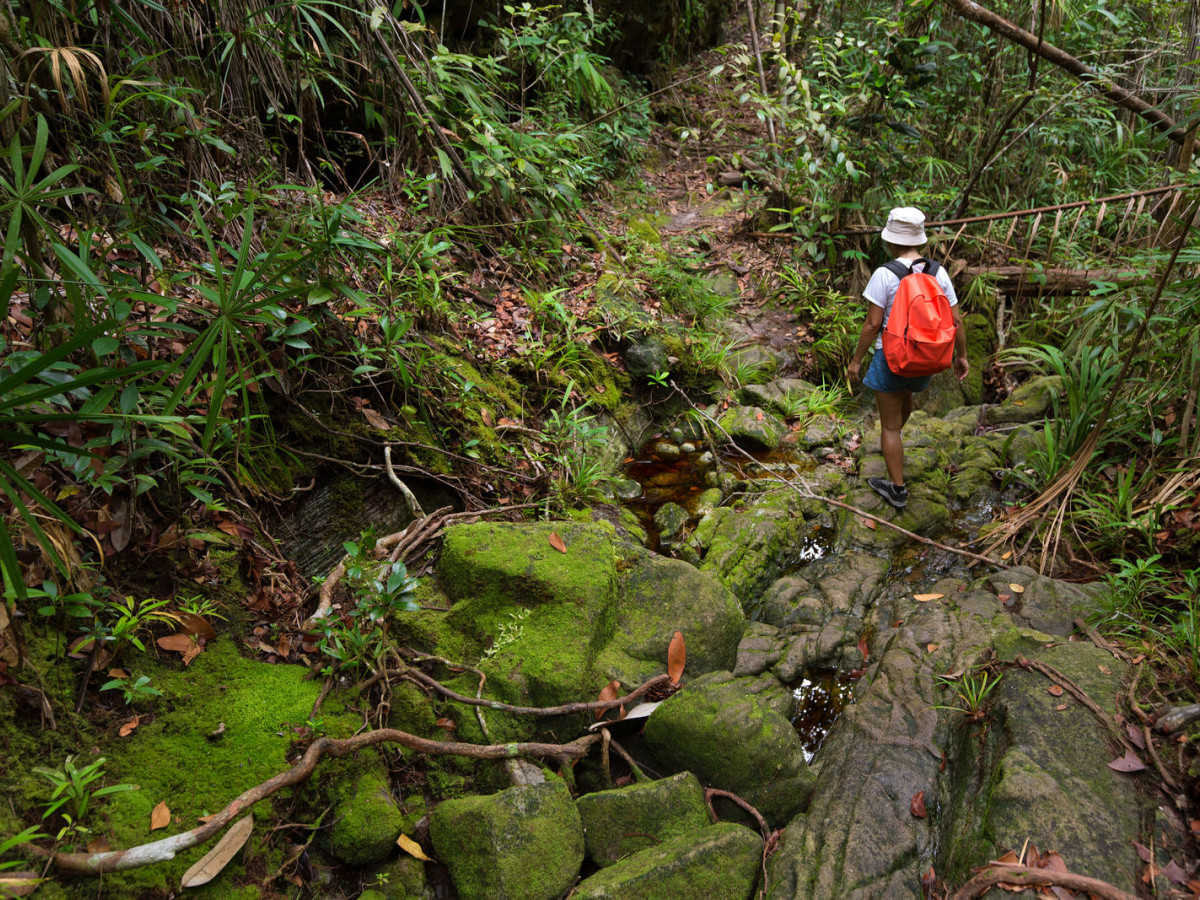Bako National Park, Borneo - Undiscovered.nl