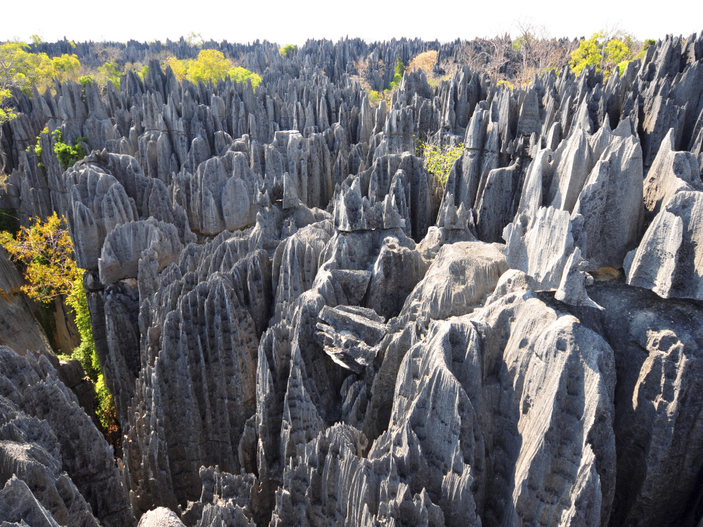 Tsingy de Bemaraha National Park Madagascar - Undiscovered.nl