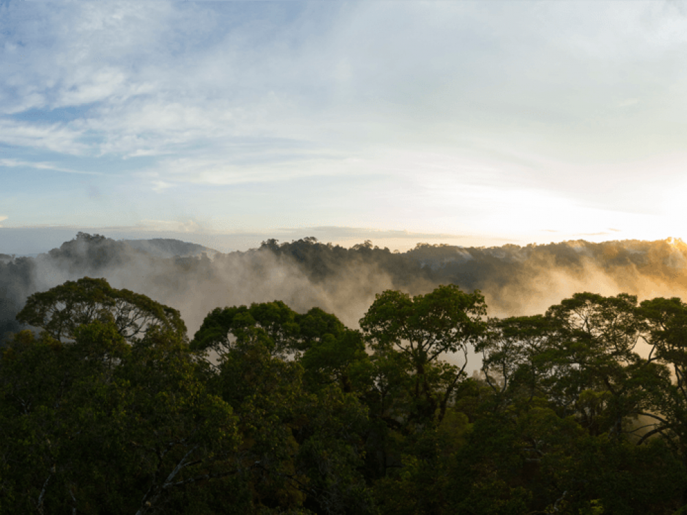 Prachtig uitzicht in Borneo - Undiscovered.nl