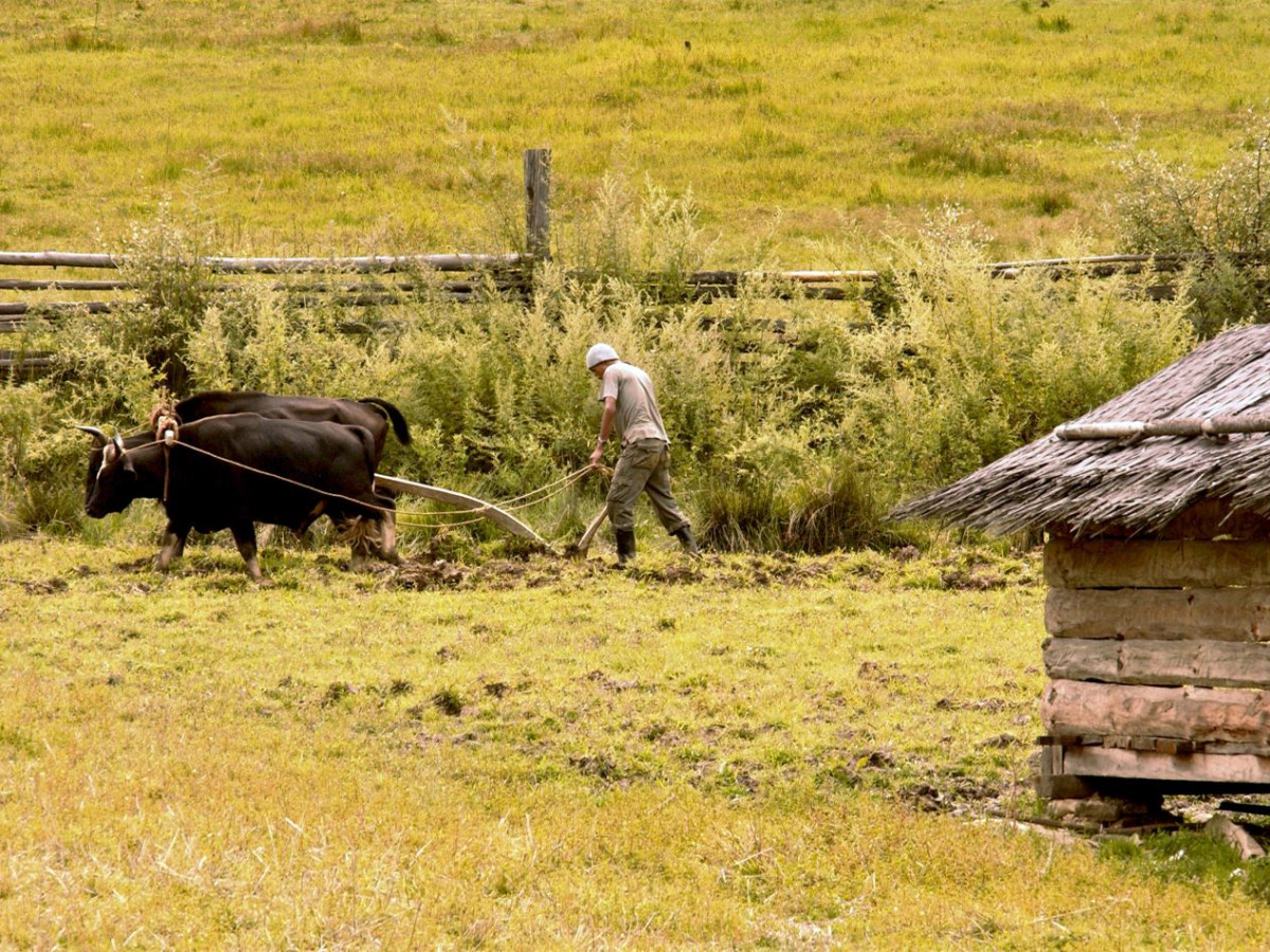 Gangtey vallei, Bhutan - Undiscovered.nl