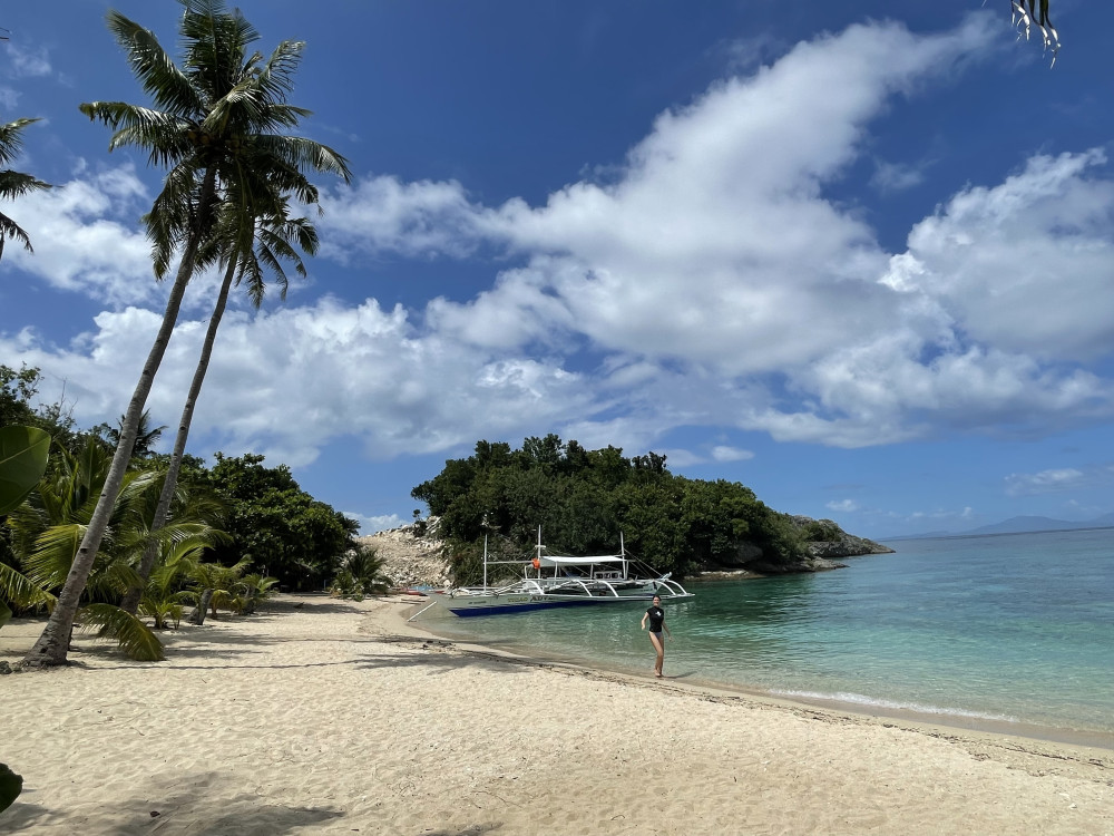 strand zee palmboom ticao island - Undiscovered.nl